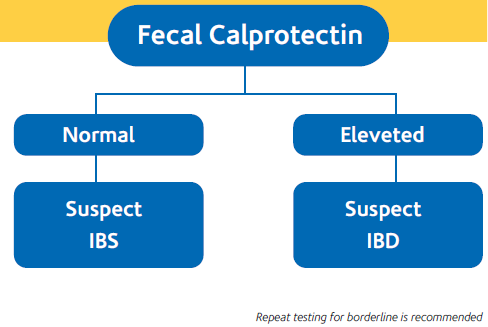 Calprotectin Ibd Dietitian