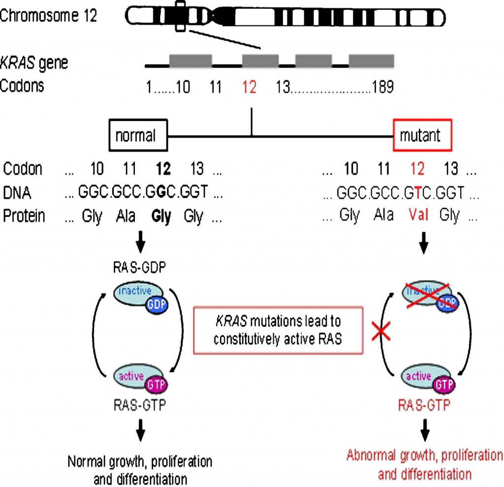 Understanding NonSmall Cell Lung Cancer Dr Lal PathLabs