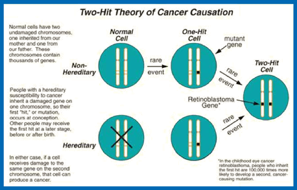 Theory of cancer Causation