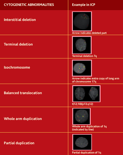 CYTOGENETIC ABNORMALITIES CYTOGENETIC ABNORMALITIES