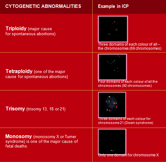CYTOGENETIC ABNORMALITIES CYTOGENETIC ABNORMALITIES