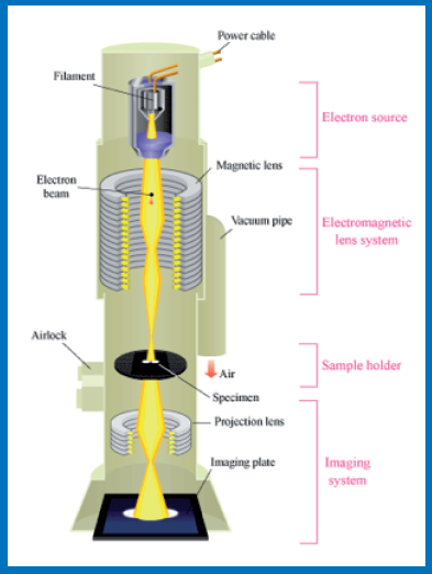 scanning electron microscope block diagram