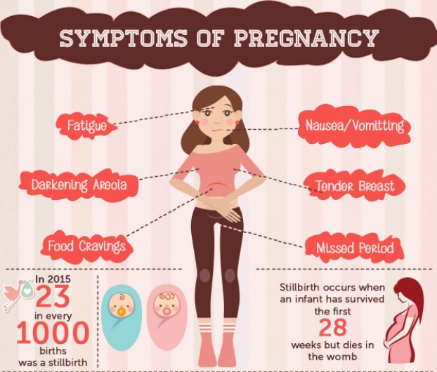 Top 14 Symptoms of Pregnancy