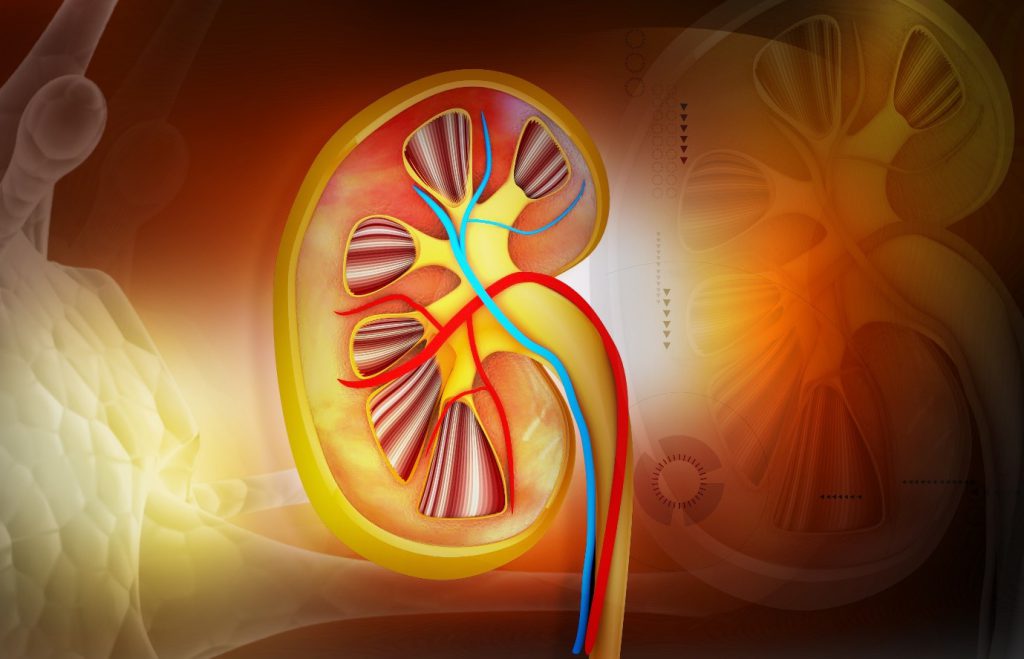 symptoms of kidney failure