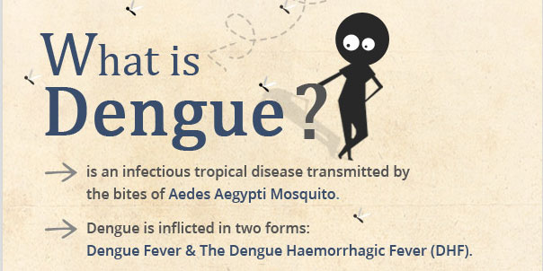 what is dengue