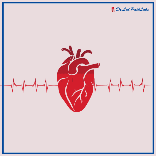 How to Control High Blood Pressure? How to Control High Blood Pressure?