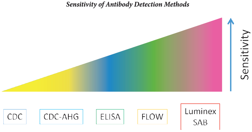 sensitivity of antibody