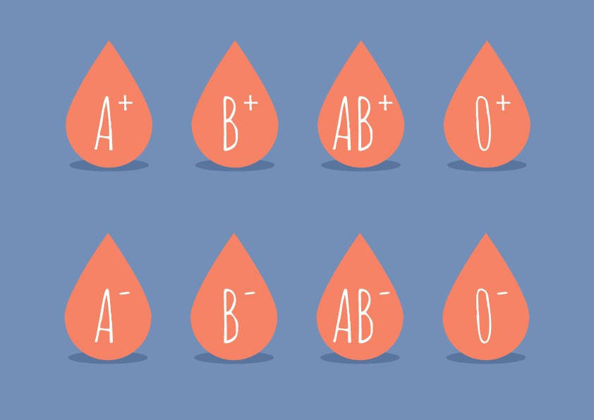 Types Of Blood Group Their Role And Significance