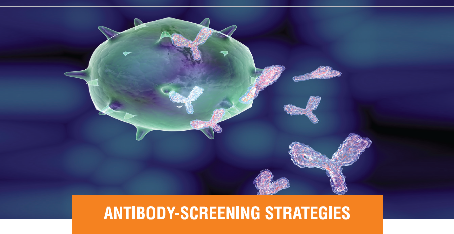 antibody screening