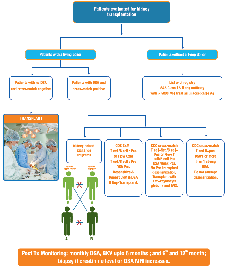 kidney transplantation