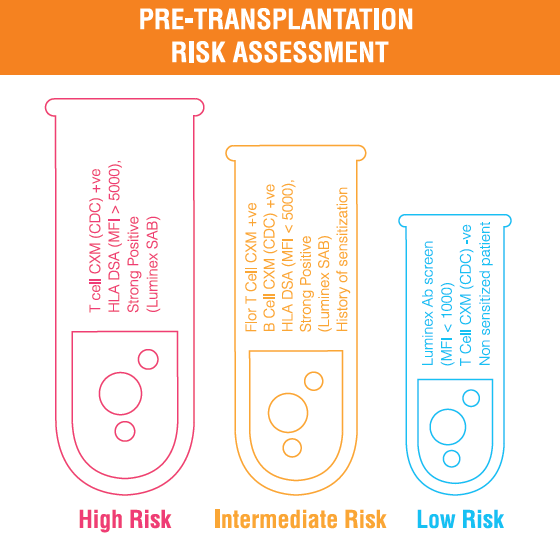 Testing and Antibody Detection in Solid Organ