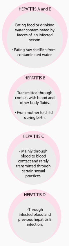causes of transmission of hepatitis