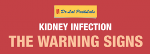 Kidney Infection the Warning Signs