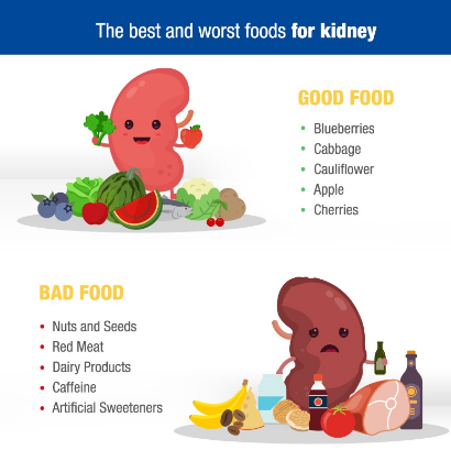 Kidney Stone Patient Food Chart