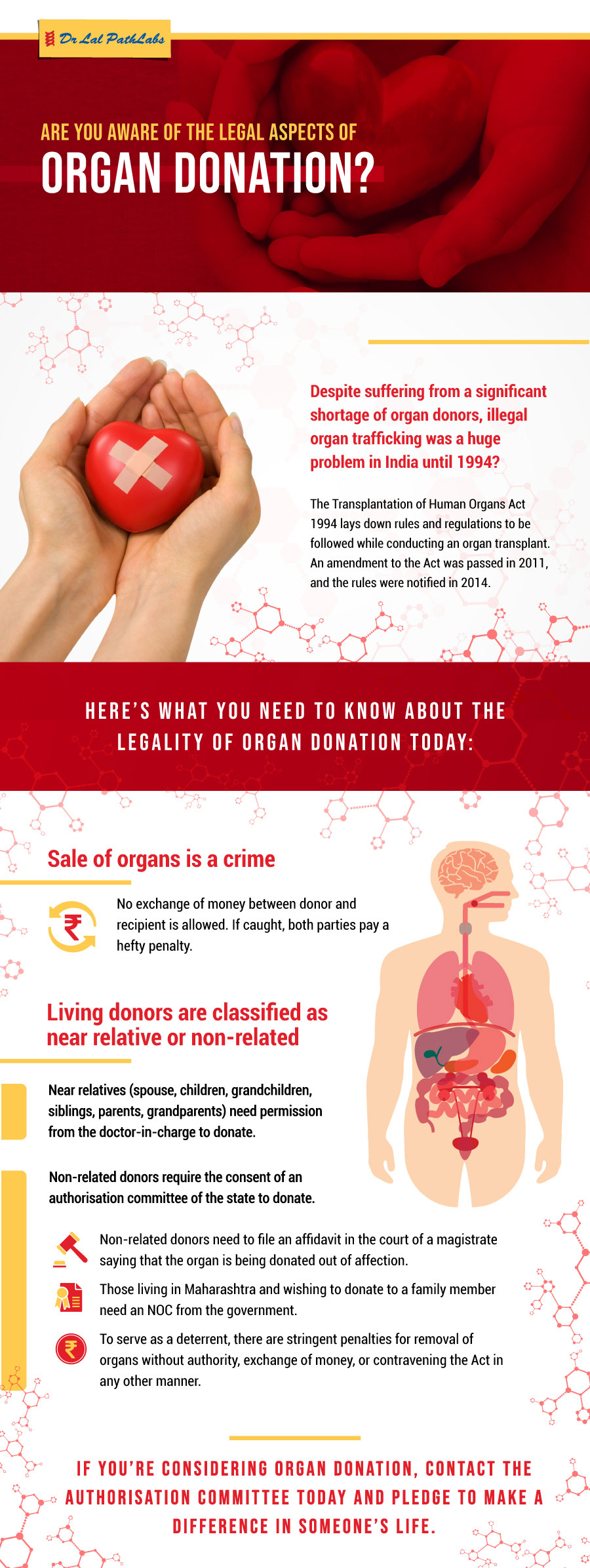 Organ Donation