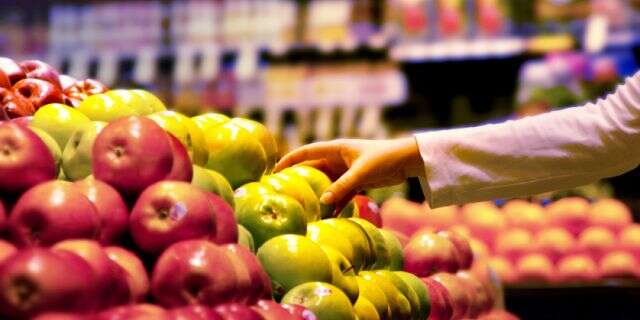 Nutrients – Requirement And Sources