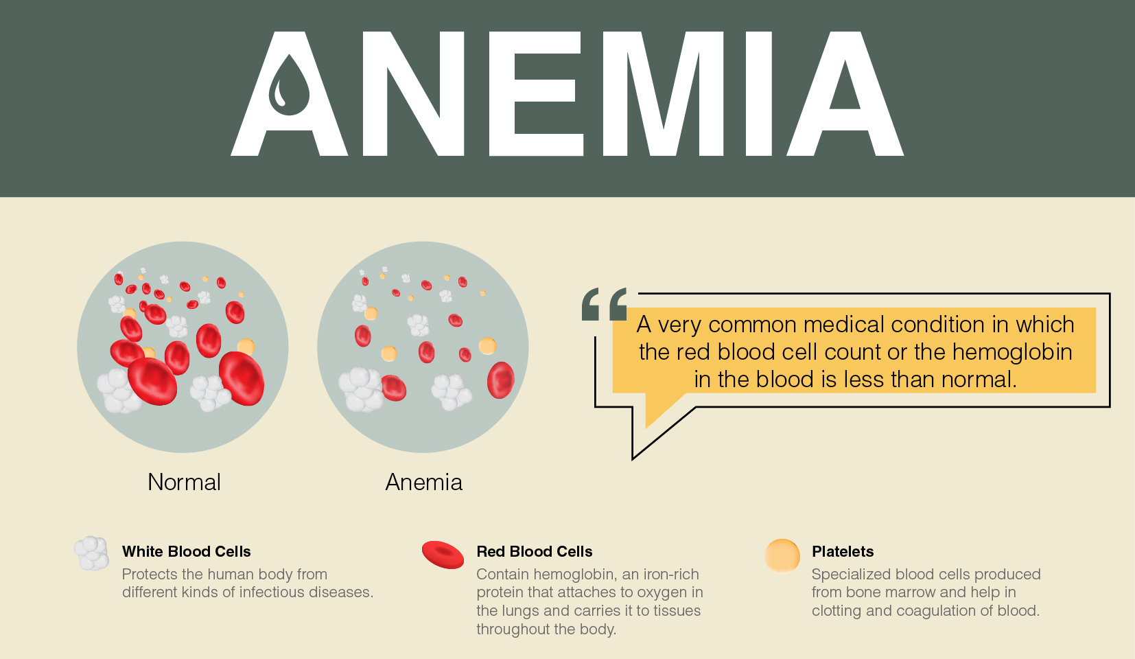 what is anemia and what causes it