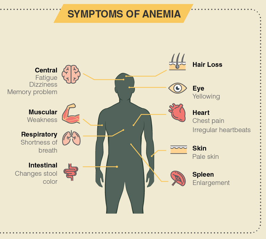 symptoms of Anemia