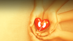Kidney Disease Treatment and its Types Kidney Disease Treatment and its Types