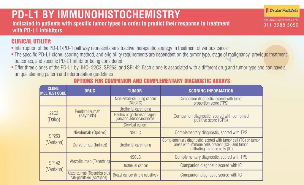 PD-L1 inhibitors