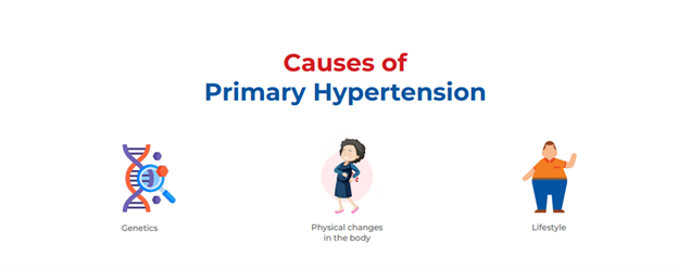 cause of primary hypertension