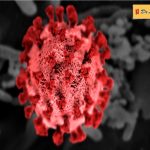 How to Differentiate Between COVID-19 and H3N2 Symptoms? 