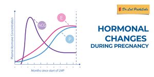 Hormonal-changes-during-pregnancy