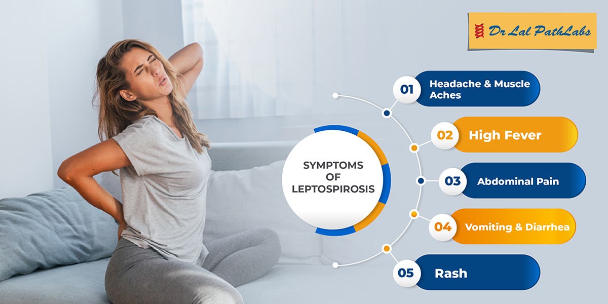 leptospirosis