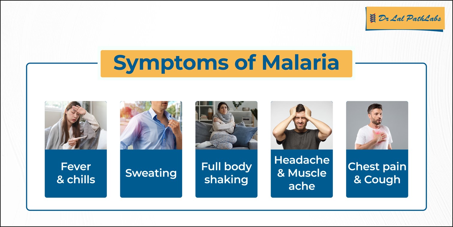 Symptoms of Malaria