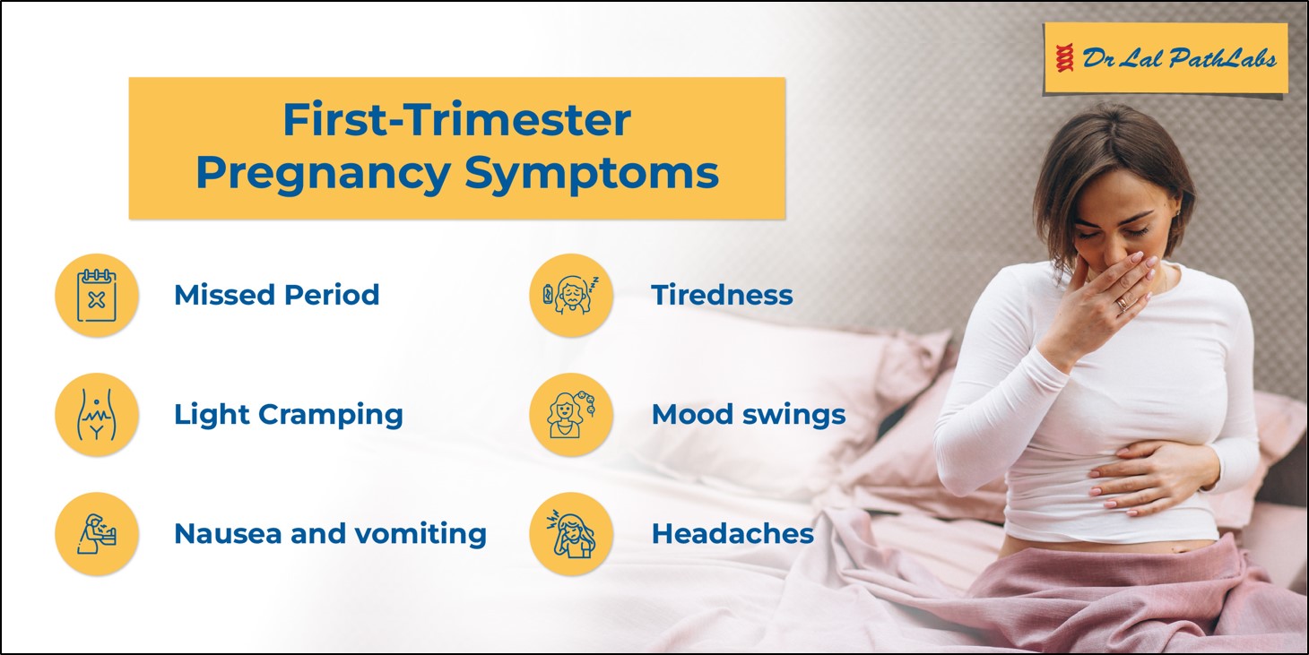 First Trimester: What to Expect?