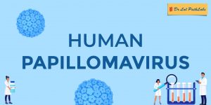 human-papillomavirus
