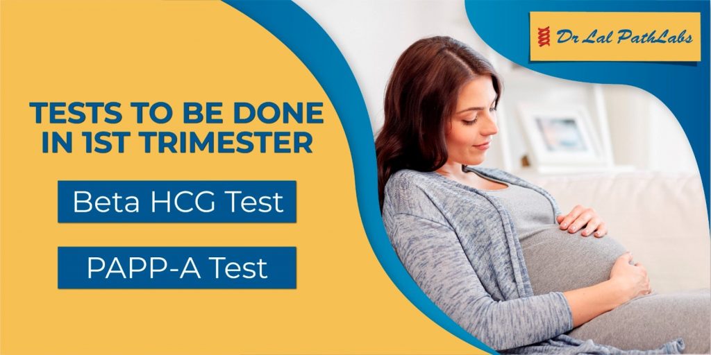 Tests Done in First Trimester of Pregnancy