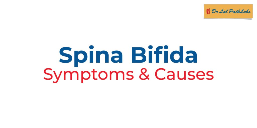 spina-bifida