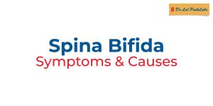 spina-bifida