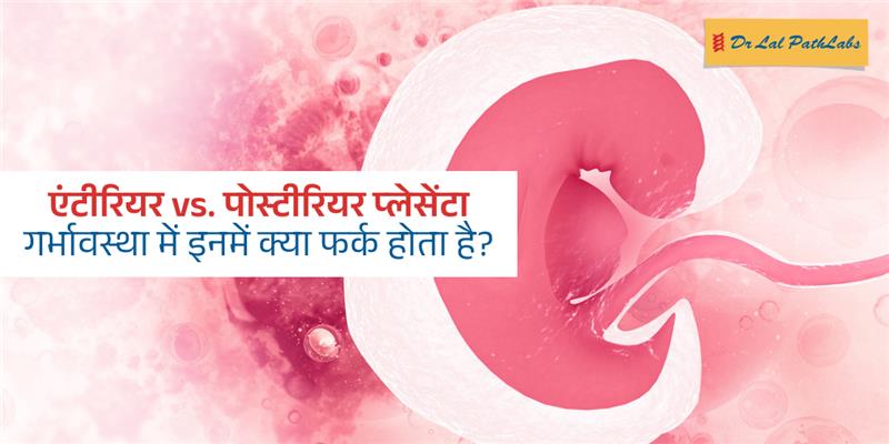 एंटीरियर vs पोस्टीरियर प्लेसेंटा