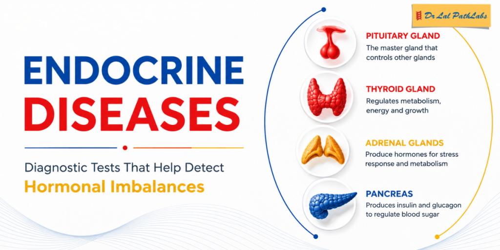 Endocrine Diseases