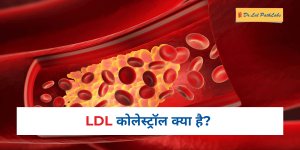 LDL cholesterol in Hindi