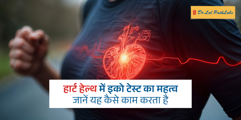 हार्ट हेल्थ में इको टेस्ट का महत्व: जानें कैसे काम करता है