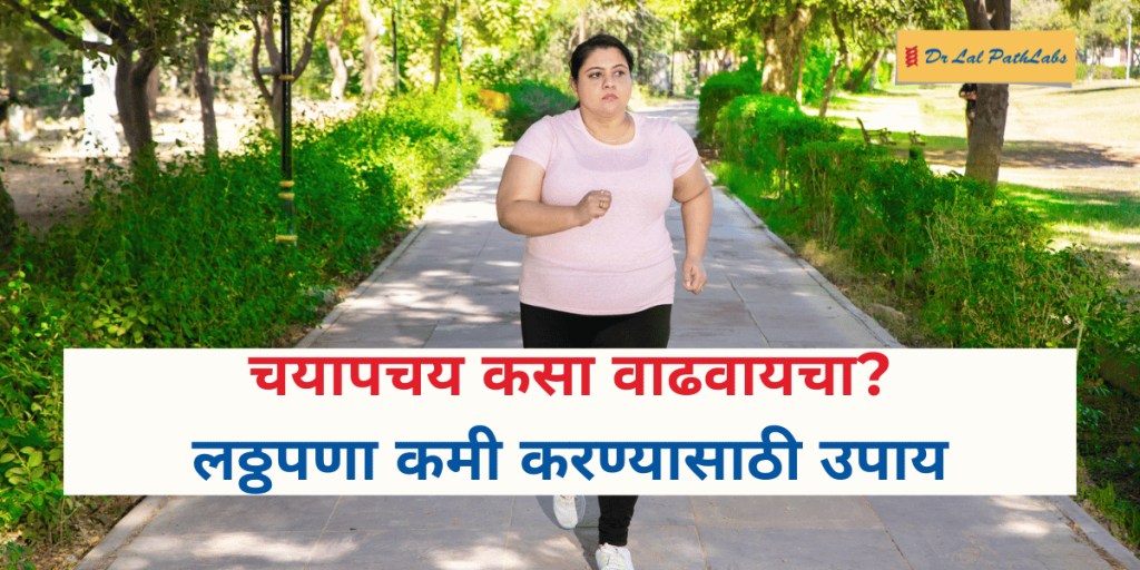 लठ्ठपणा कमी करण्यासाठी चयापचय (Metabolism) कसा वाढवावा?