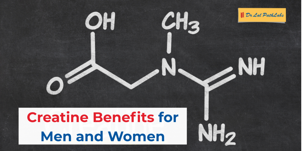 Creatine Benefits for Men & Women: Muscle Growth, Strength, and Performance