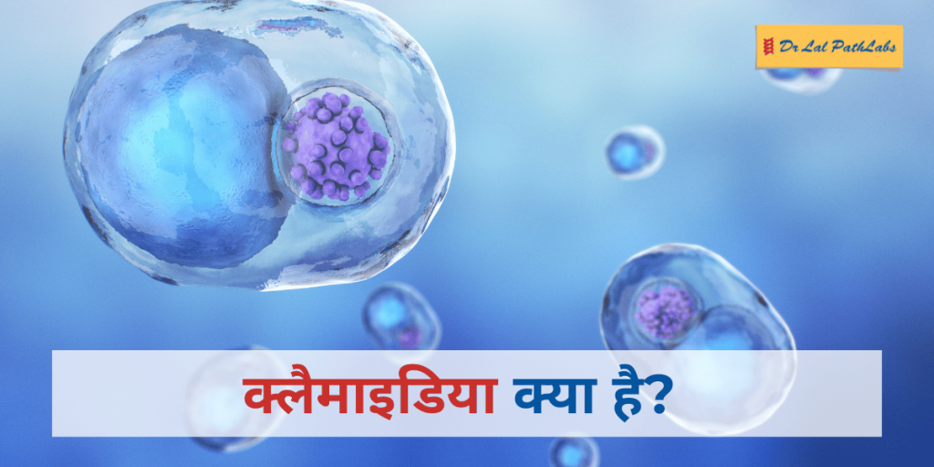 Chalmydia in hindi