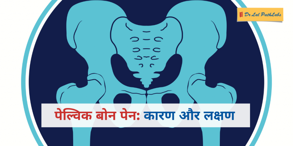 पेल्विक बोन