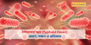 Typhoid in bengali