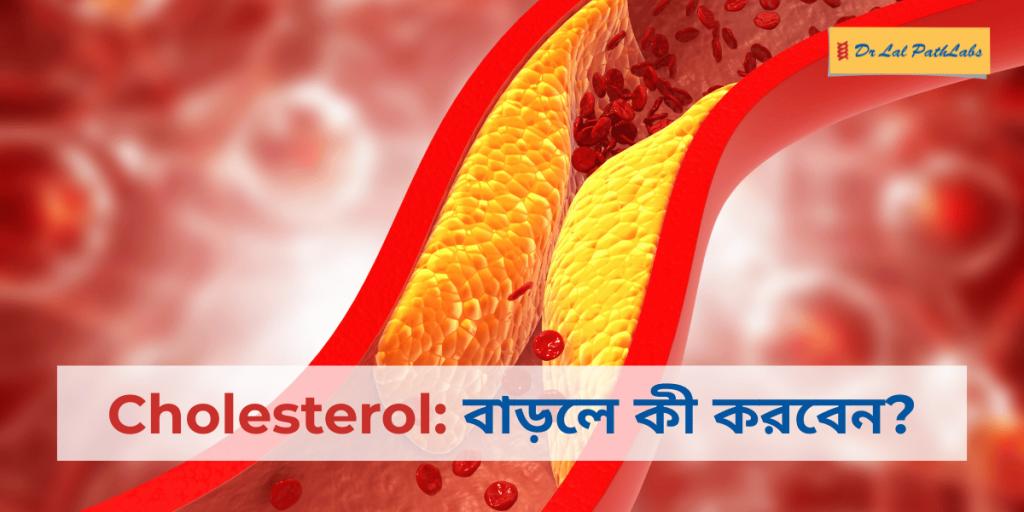 cholesterol in bengali 
