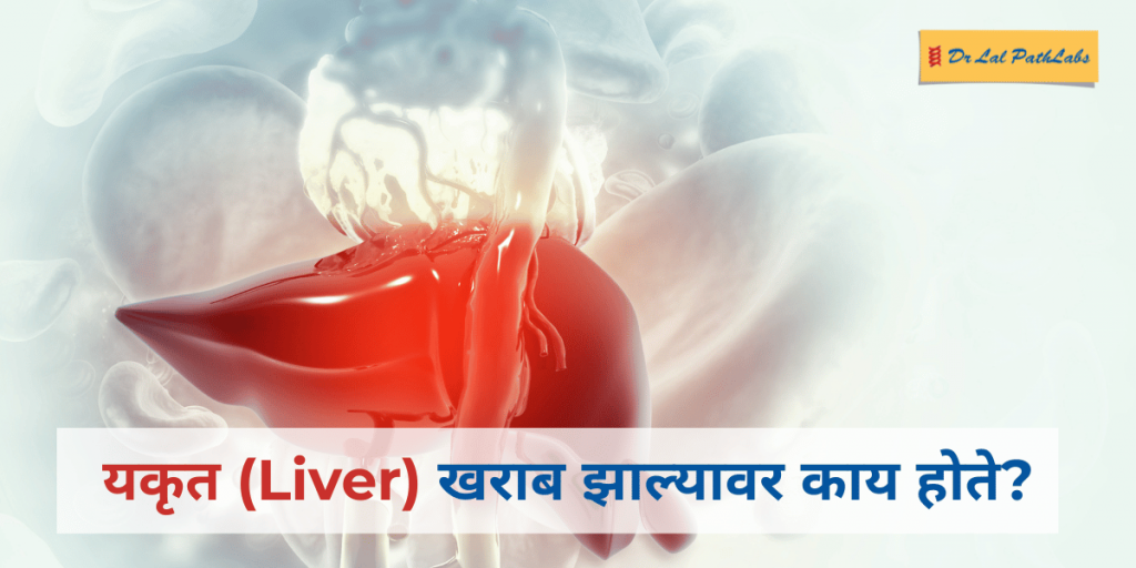 liver in marathi.