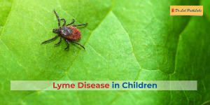 Lyme Disease