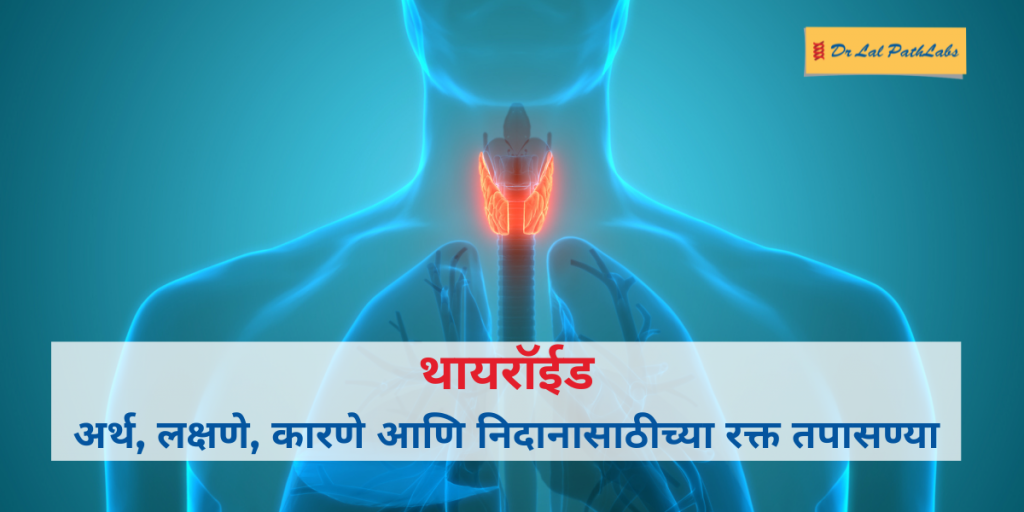 थायरॉईड