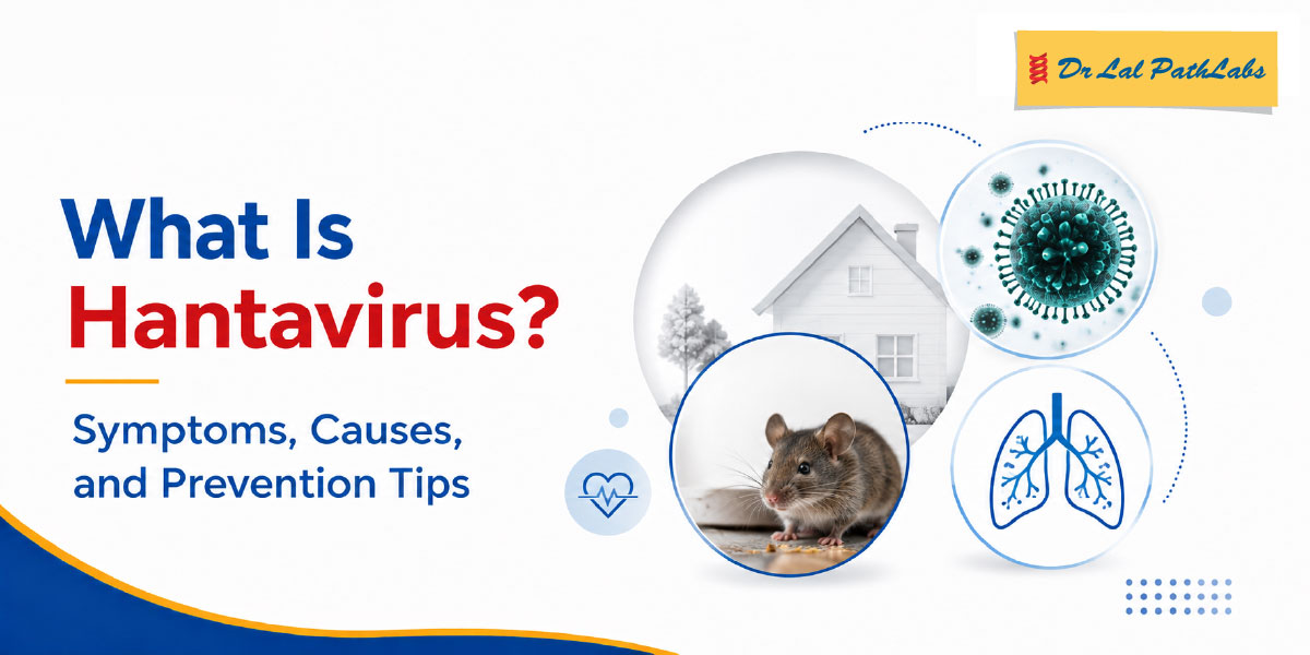 What is Hantavirus? Symptoms, Causes and Prevention Tips